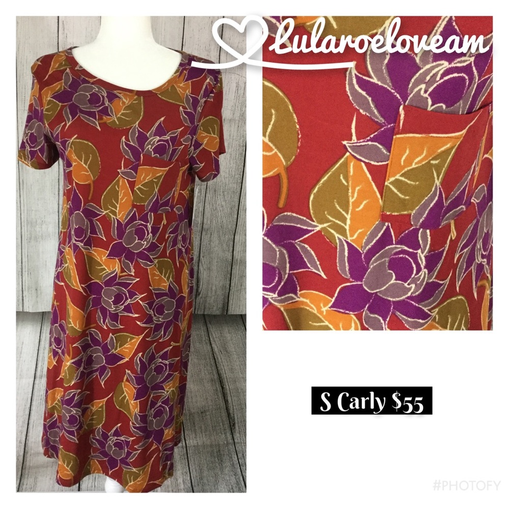 S Lularoe Carly dress NWT
